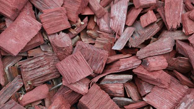 Choose Your Wood | How To Smoke Meat For Survival