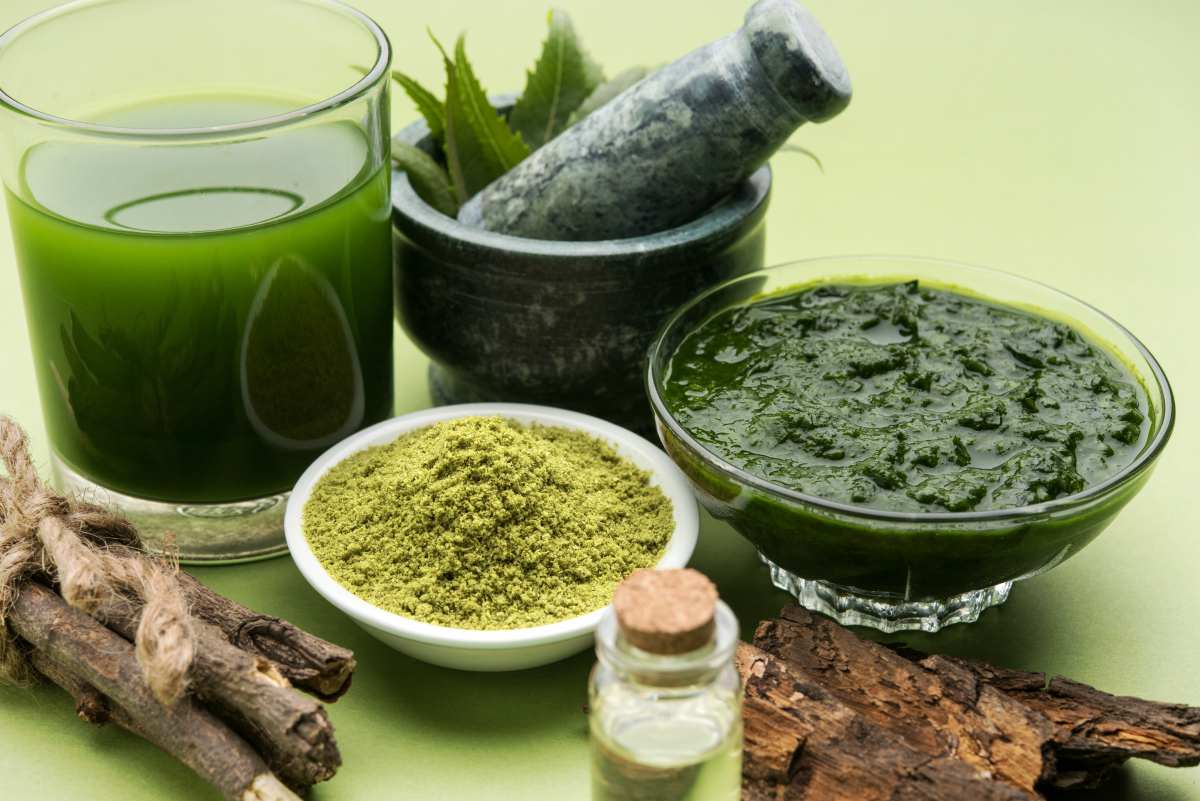 Medicinal Ayurvedic Azadirachta indica leaves | Ayurvedic Remedies for Better Health