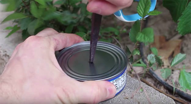 Put A Hole In The Middle Of The Tuna | How to Make a Tuna Oil Lamp