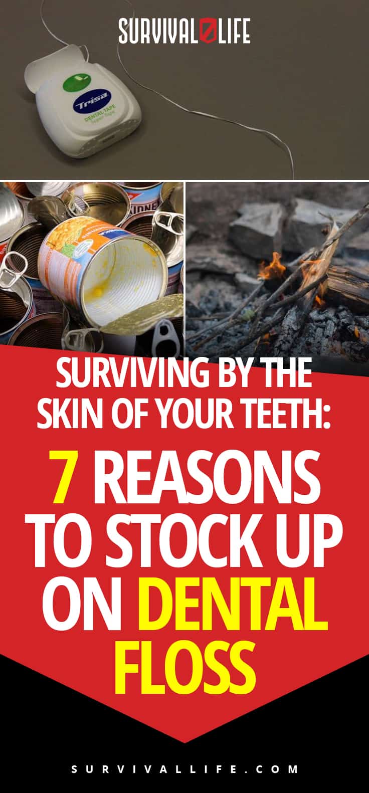 Dental Floss | Surviving By The Skin Of Your Teeth: 7 Reasons To Stock Up On Dental Floss