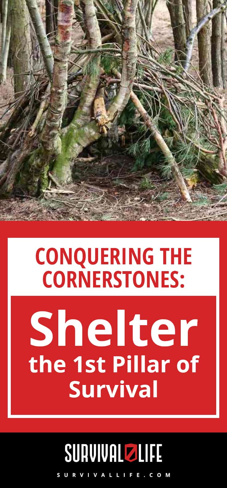 Shelter | Conquering the Cornerstones: Shelter - the 1st Pillar of Survival