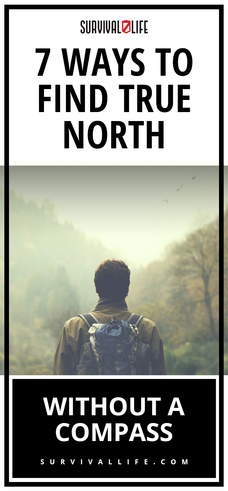 Placard | Ways To Find True North Without A Compass