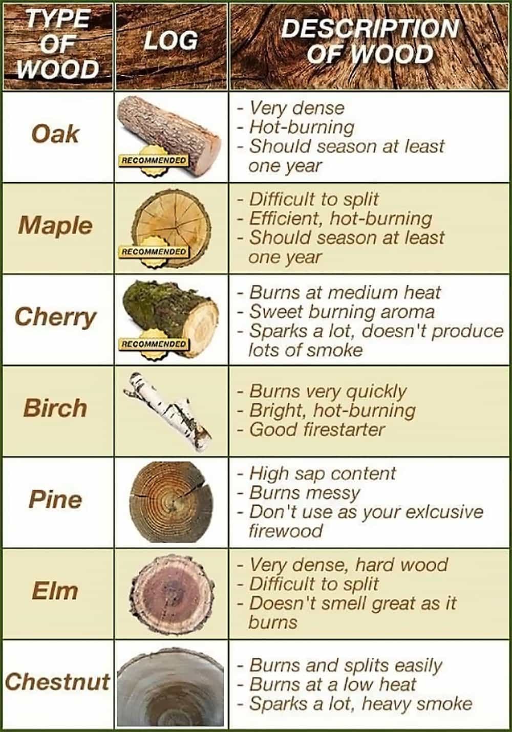 Fire wood types infographic fireplace tinder kindling 2