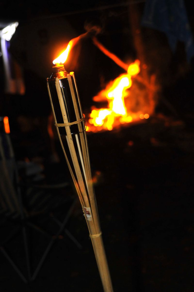 camp-fire-flame-bamboo-torch-burning camping