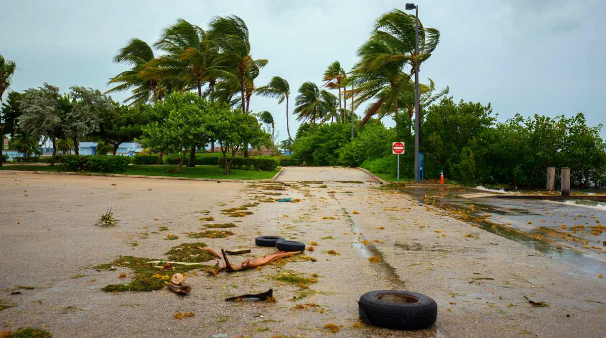  Hurricane natural disaster | Conquering The Cornerstones: Self-Defense - The 4th Pillar of Survival