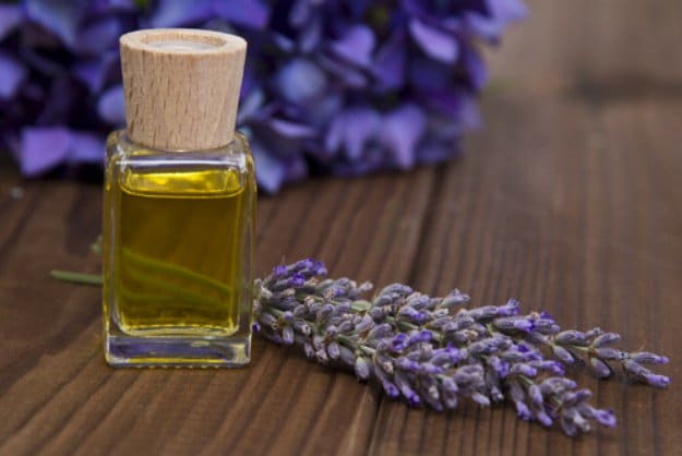 Lavender Oil | DIY All Natural First Aid Kit