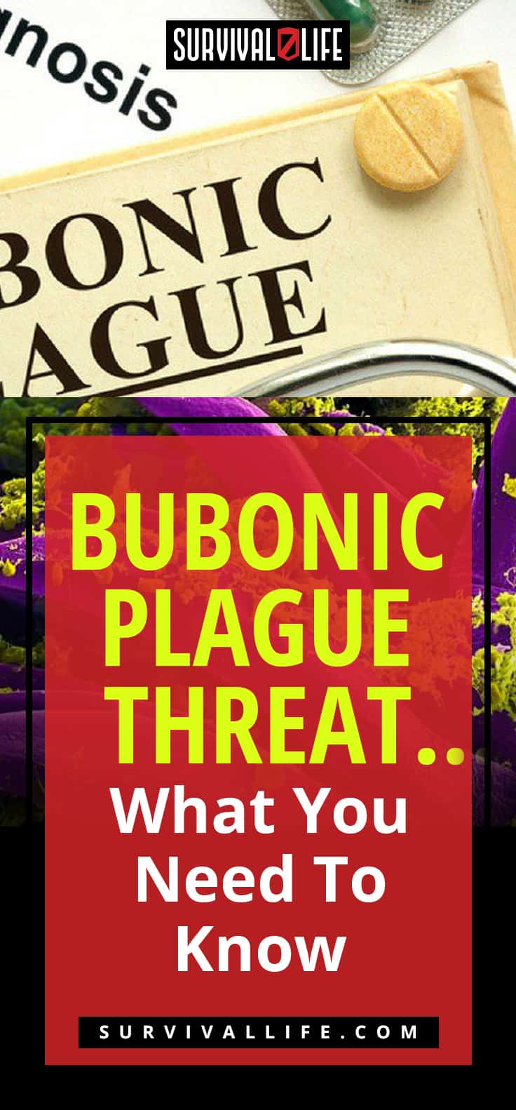 Bubonic Plague Threat…What You Need To Know