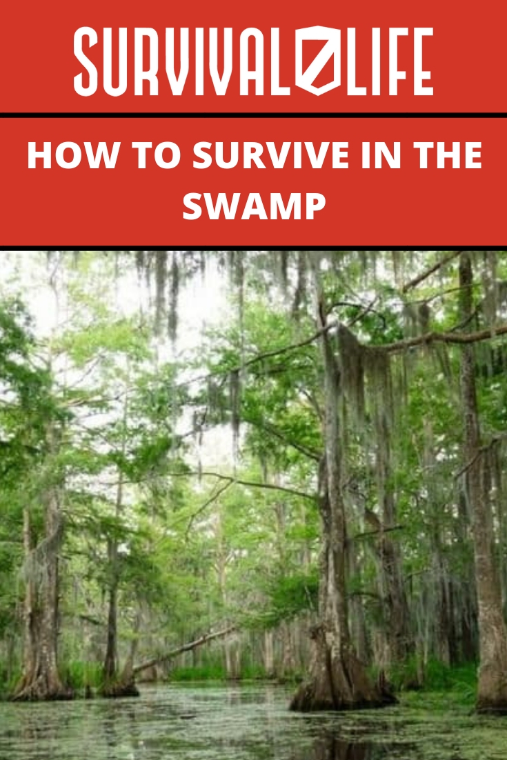 Placard | How to Survive in the Swamp | dangers of swamps