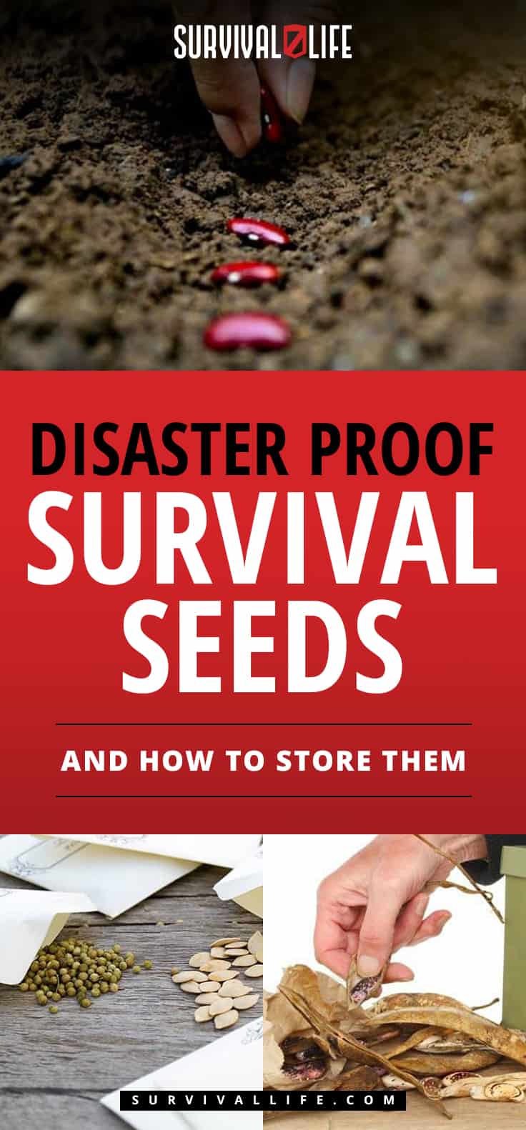 Survival Seeds | Disaster Proof Survival Seeds And How To Store Them