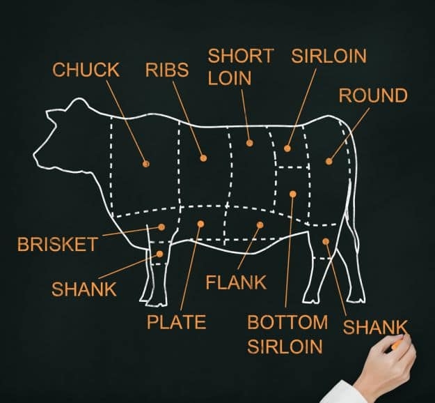 Anatomy | Efficient Butchering: 3 Tips from a Lifelong Hunter | Butchering Tips