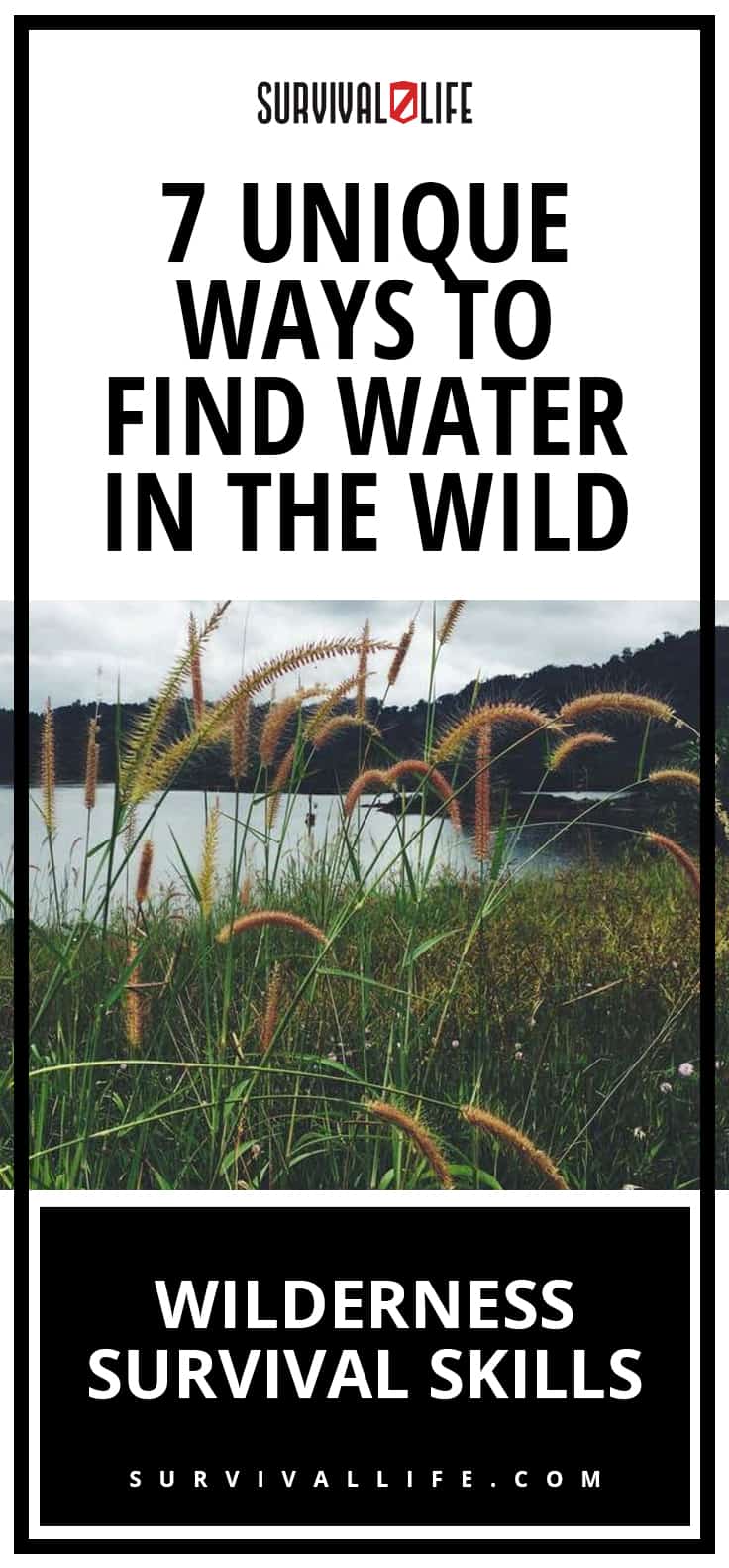 Wilderness Survival Skills | 7 Unique Ways To Find Water In The Wild