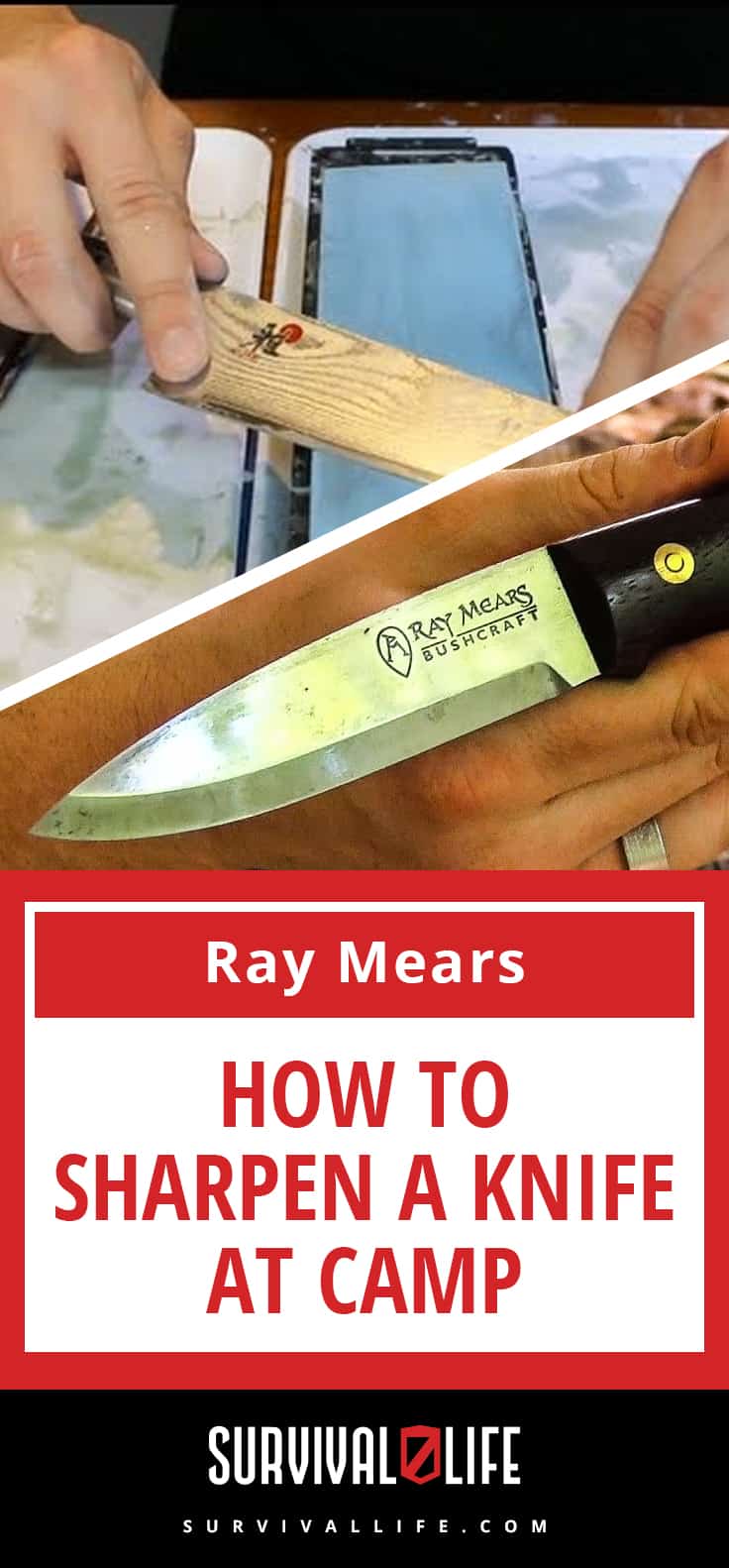 How To Sharpen A Knife At Camp [Video] | https://survivallife.com/ray-mears-how-to-sharpen-a-knife-at-camp/