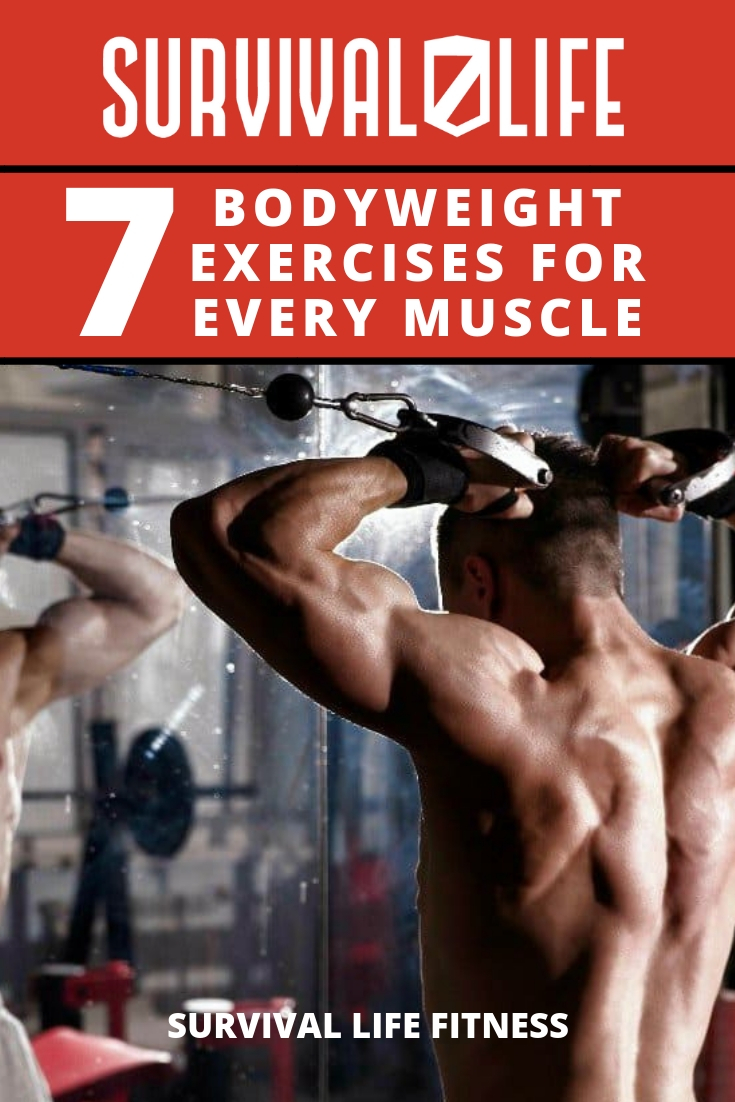 7 Bodyweight Exercises For Every Muscle Survival Life Fitness