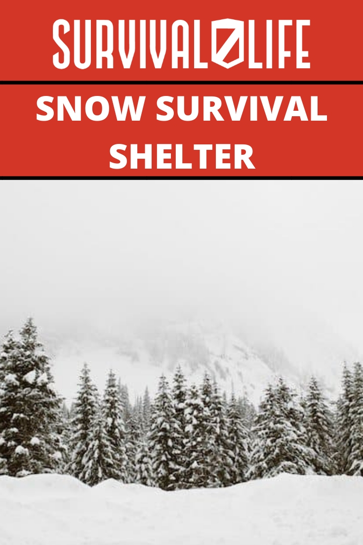 Placard | Snow Survival | Snow Survival Shelter