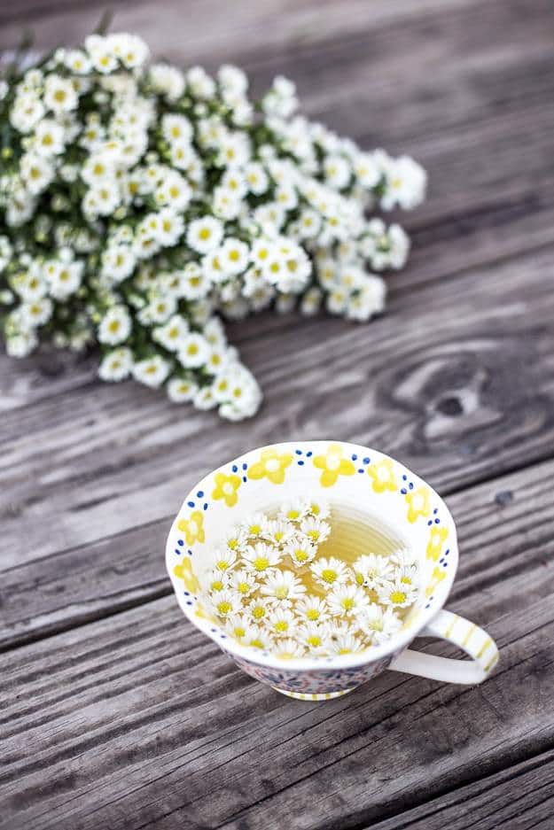 Chamomile | Incredible Medicinal Herbs For Your Indoor Garden