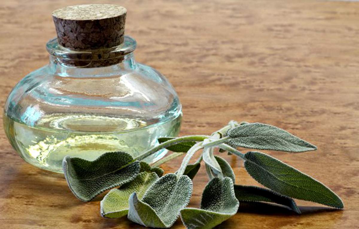 Sage oil | Medicinal Essential Oils Your Medical Kit Should Always Have