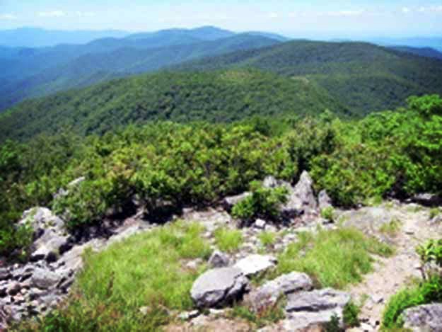 The Rocky Top Trail | Amazing Hiking Trails You Have to See to Believe