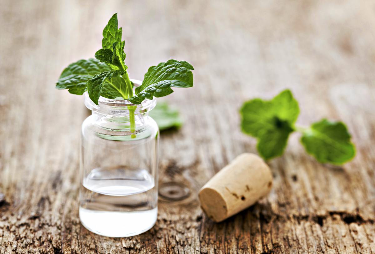 Peppermint oil in a bottle | Medicinal Essential Oils Your Medical Kit Should Always Have 
