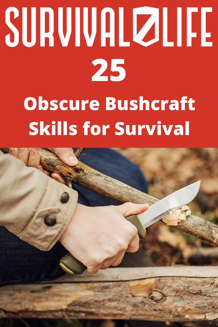 Placard | Bushcraft skills| Obscure Bushcraft Skills For Survival