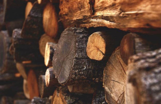 Identify Different Types of Wood for Your Fire | 25 Obscure Bushcraft Skills for Survival