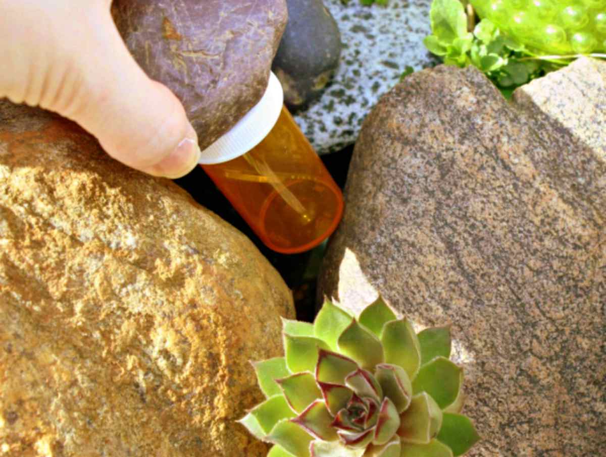 rock on top of the bottle | Ultimate Survival Tips | Uses For An Empty Pill Bottle