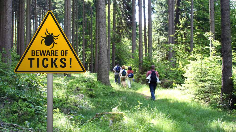 warning sign beware ticks infested area | Natural Tick Repellents to Get Rid of Ticks NOW | featured