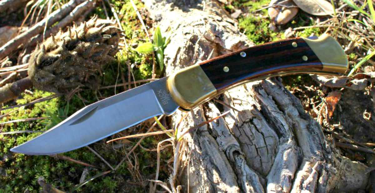 Buck knife | Eye-Catching Folding Hunting Knives 