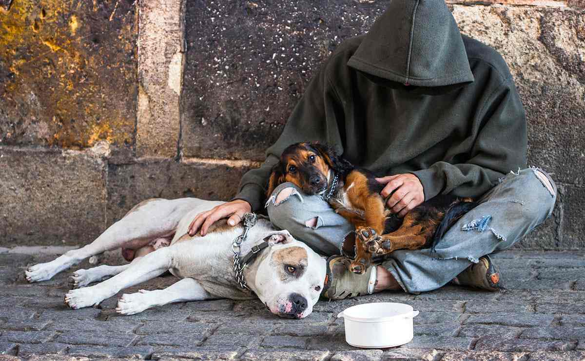 Homeless with two Dogs | Homeless Survival Tips | How To Survive On The Streets