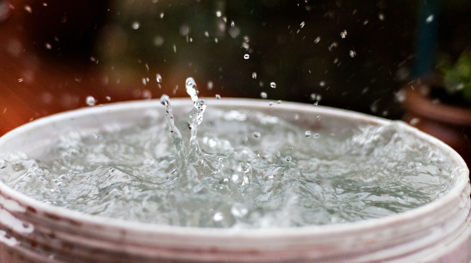 Featured | Rain is falling in a bucket full of water | Year-Old Trick For Filtering Rainwater