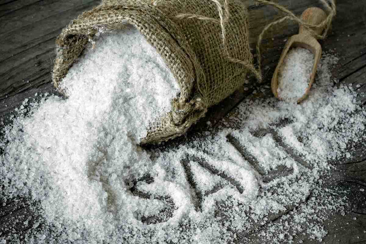 Salt | Survival Food Items That Will Outlast The Apocalypse