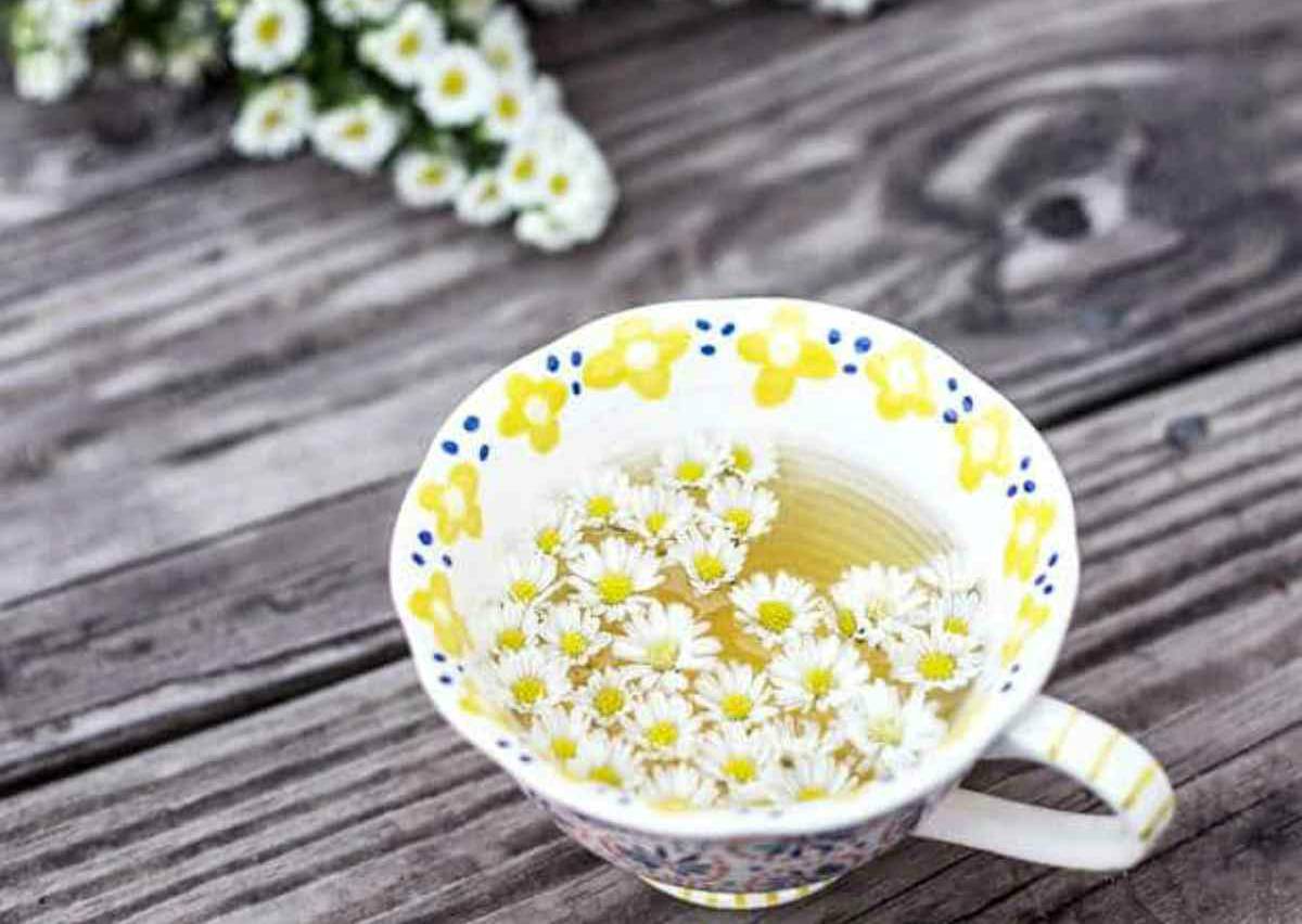 Chamomile tea | Incredible Medicinal Herbs For Your Indoor Garden