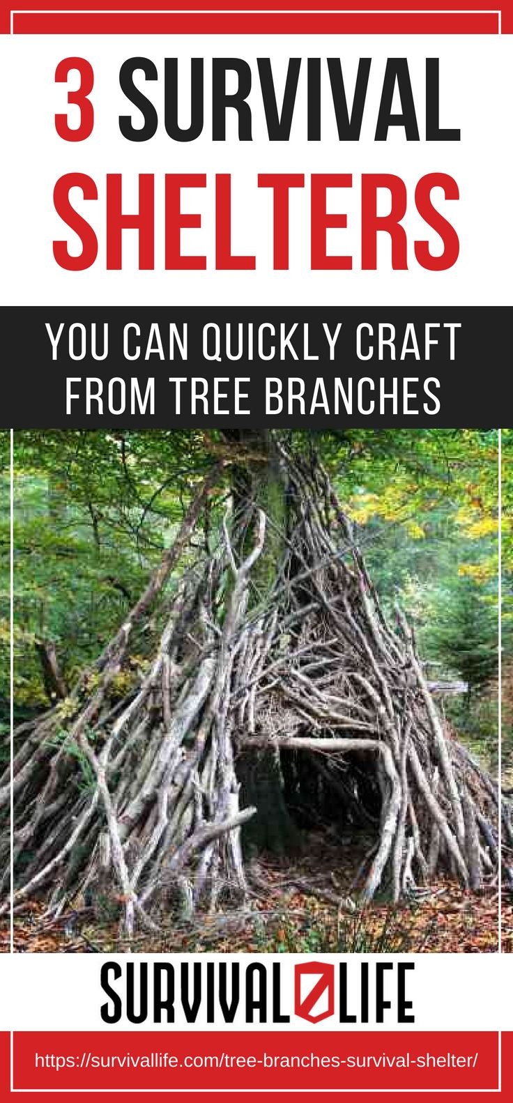 Placard | 3 Survival Shelters You Can Quickly Craft From Tree Branches