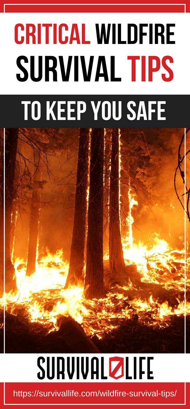Placard | Critical Wildfire Survival Tips To Keep You Safe [2018 Updated]