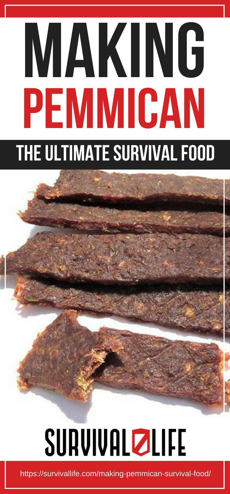 Pinterest Placard | Making Pemmican: The Ultimate Survival Food