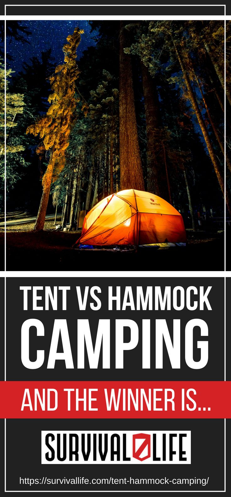 Poster |  Tent or hammock |  Hammock Camping Tips and More!  |  Survival life