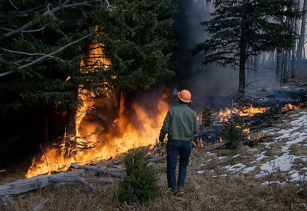 Wildfire Survival Tips
