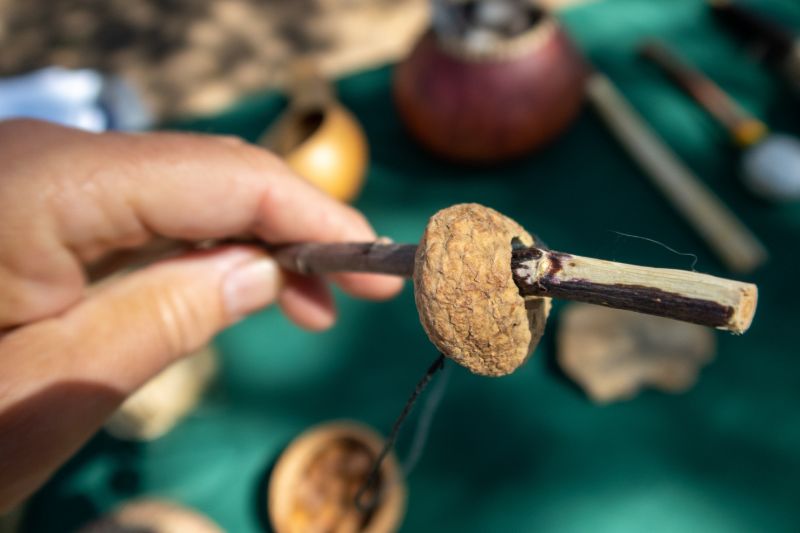 acorn-stick-child-game-played-by survival hacks 