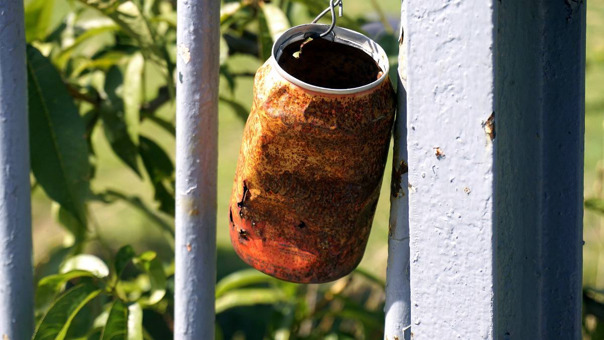 Hanging rusty tin can | Surprising Survival Uses For A Tin Can