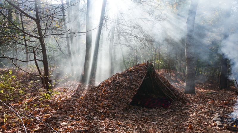 primitive-debris-hut-survival-shelter-wilderness survival hacks 