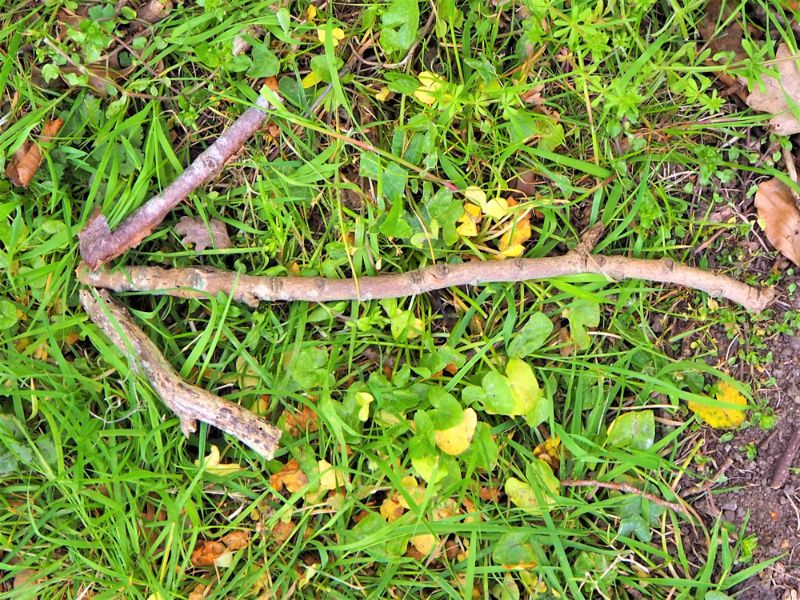 woodland-arrow-showing-way-go-twig survival hacks 