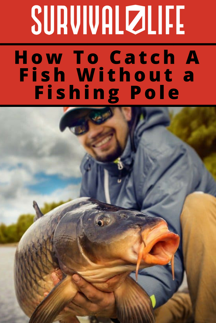 Placard |How To Catch A Fish Without a Fishing Pole | Homemade Survival Fishing Kit