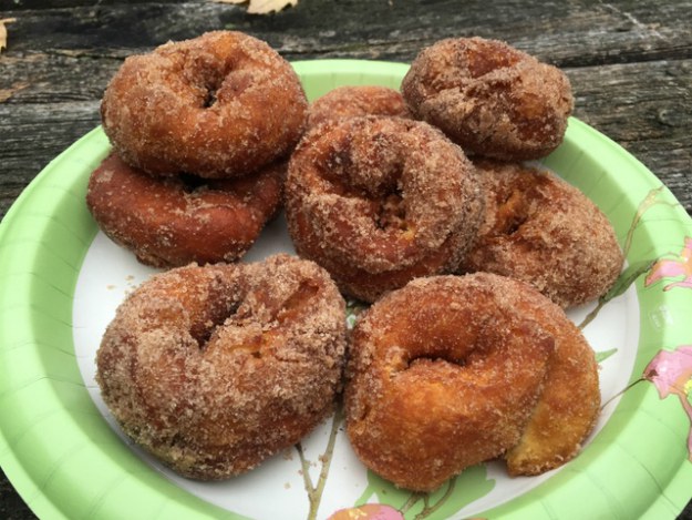 Biscuit Campfire Donuts | Savory Campfire Recipes For Delicious Meals Outdoors