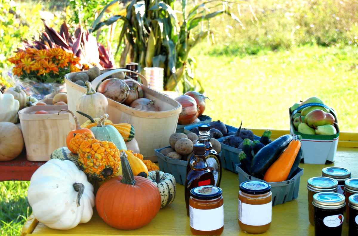 Vegetable stand with preserves | Self-Sufficiency Skills Every Prepper Should Learn