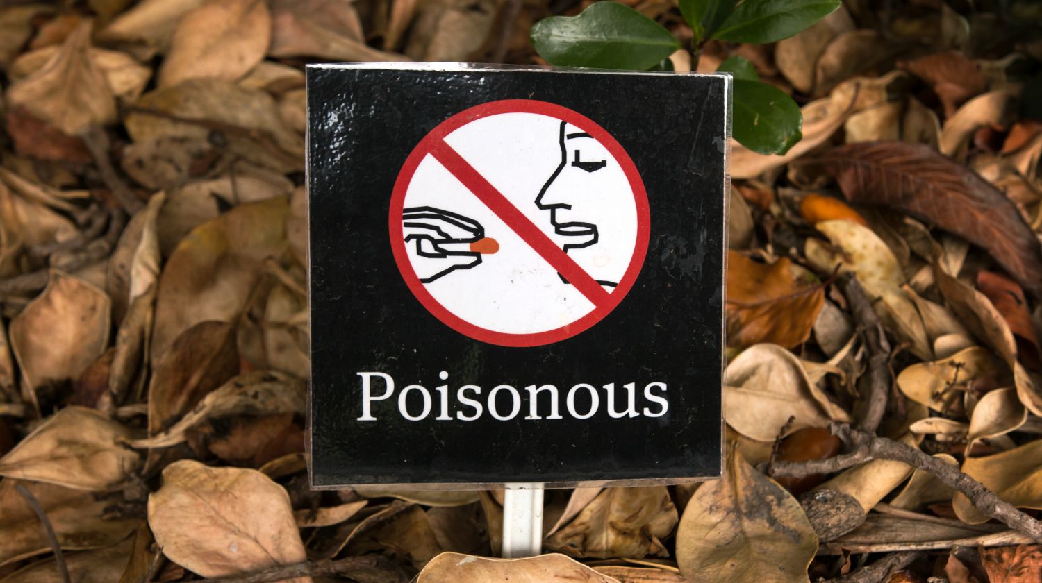 Poisonous sign under a tree | Wilderness Survival Skills: A Guide To Identifying Poisonous Plants | Featured