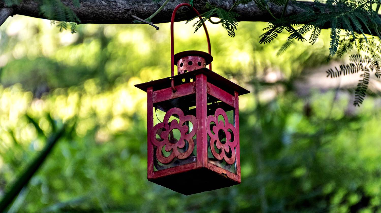 Feature | Lantern hanging in the tree | How To Make An Improvised Camping Lantern