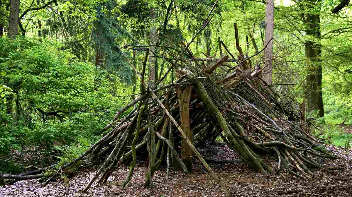 Forest shelter made from wood materials | Steps To Survive Anything