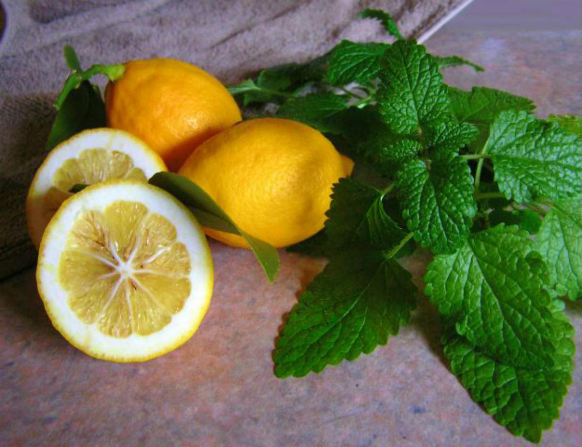 Lemon in the table | Home Remedies For Cold And Flu | Surprisingly Simple Natural Relief