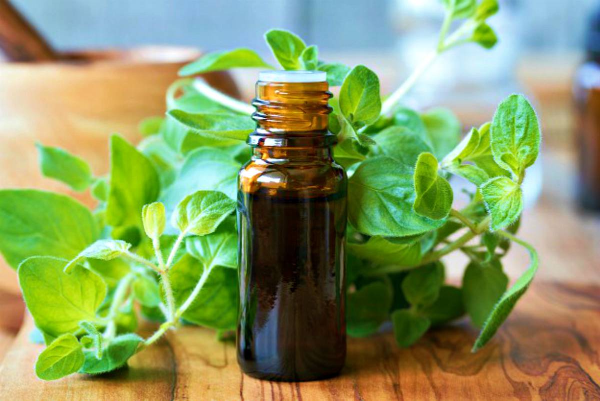 Essential Oil with oregano leaves | Home Remedies For Cold And Flu | Surprisingly Simple Natural Relief 
