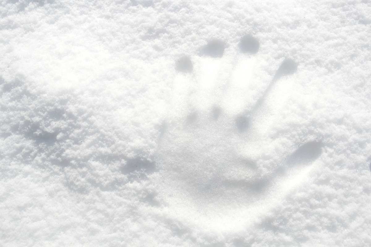 hand print on snow  13 Winter Camping Tips For Every Survivalist