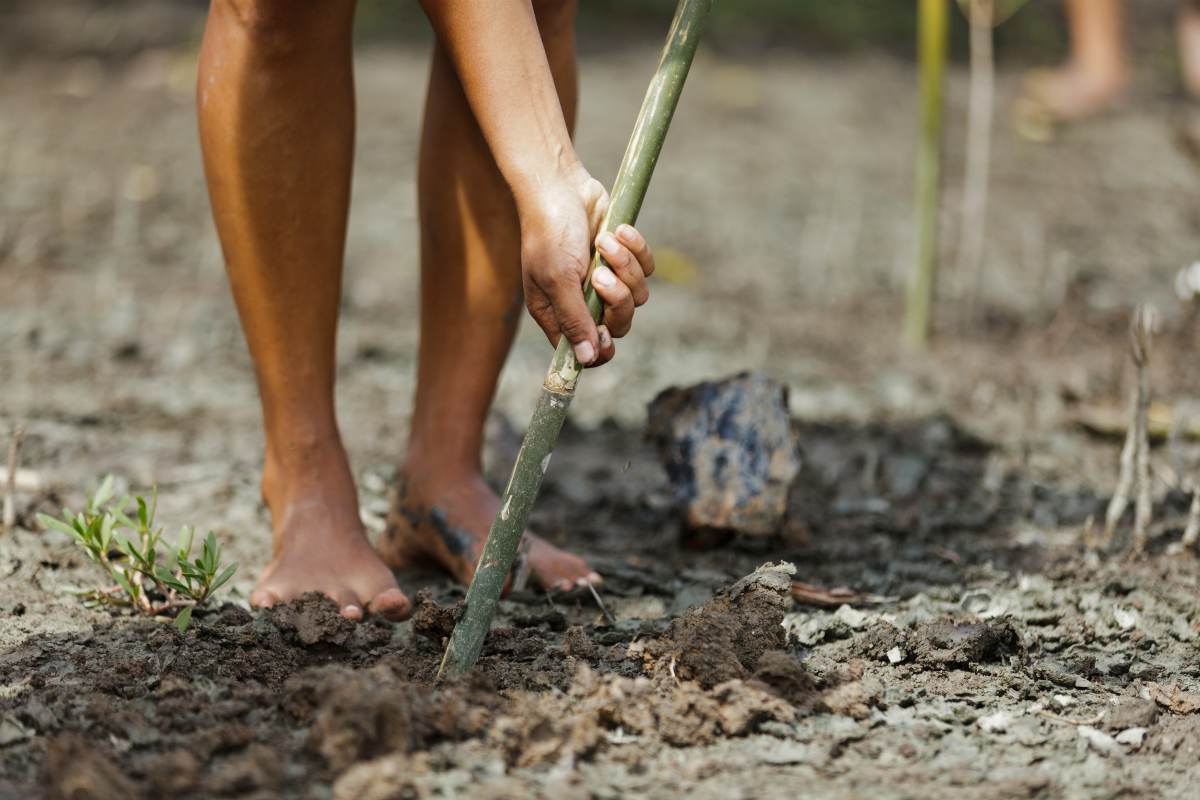 A woman digging soil with bamboo stick to plant tree | Ways To Find True North Without A Compass